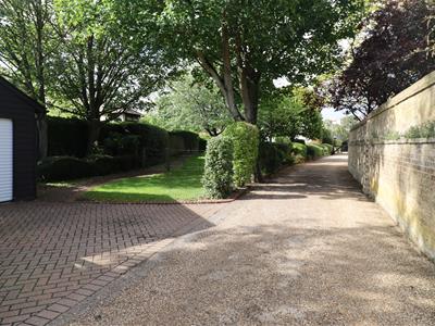 Picture 25
